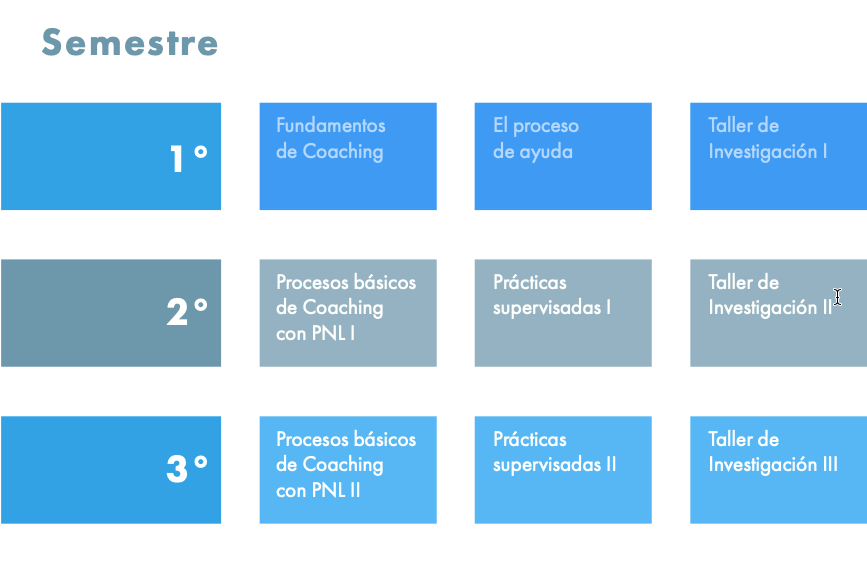 Especialidad en Coaching - Plan de Estudios